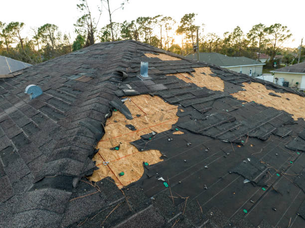 Best Roof Moss and Algae Removal  in East Berlin, PA